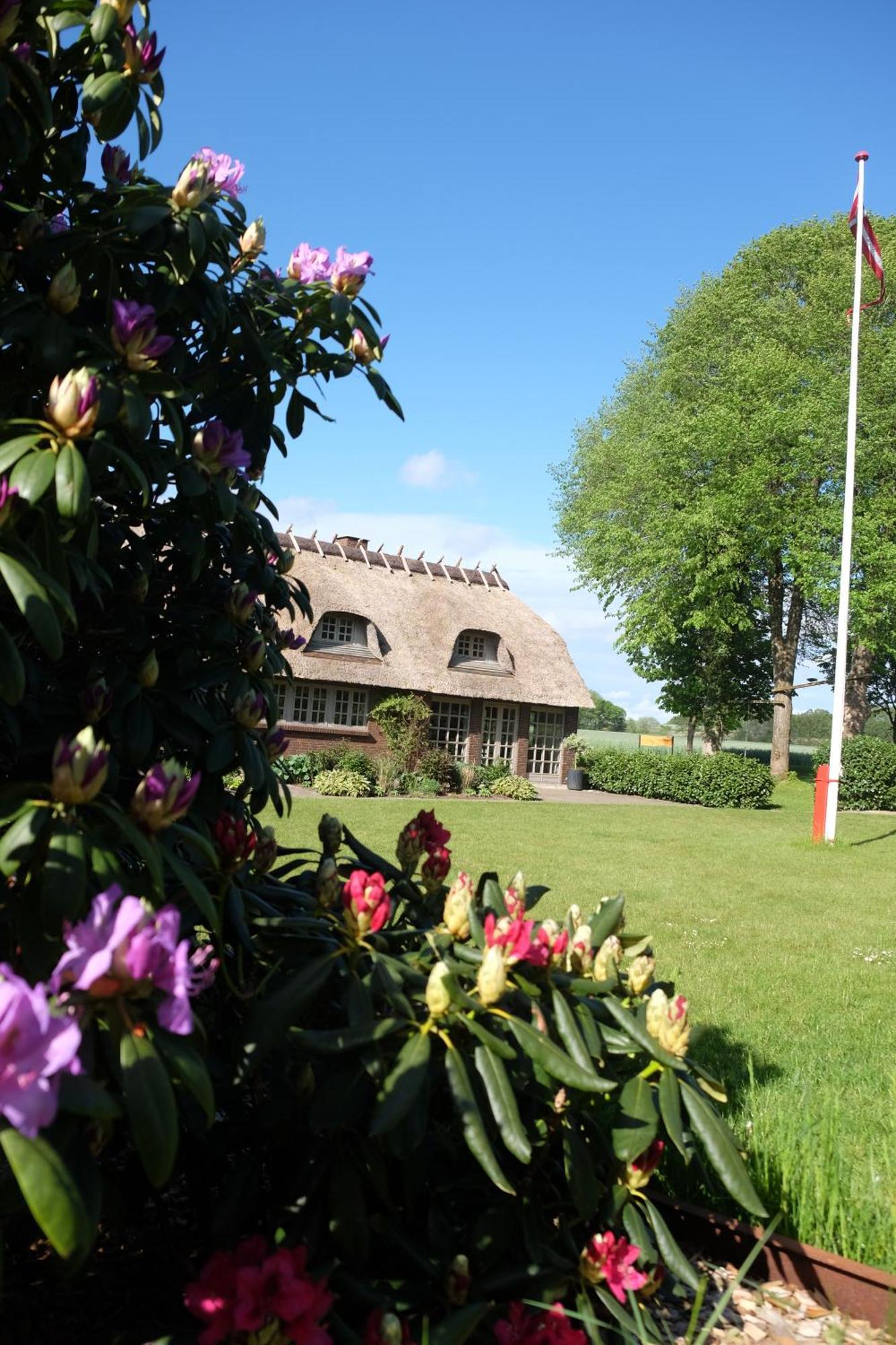 Billund Rooms Dış mekan fotoğraf